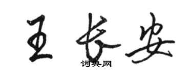 駱恆光王長安行書個性簽名怎么寫