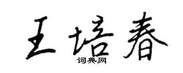 王正良王培春行書個性簽名怎么寫