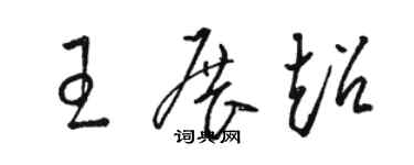 駱恆光王展超草書個性簽名怎么寫