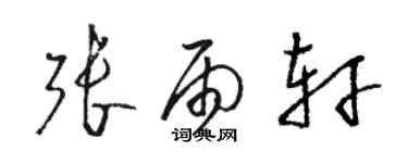 駱恆光張雨軒草書個性簽名怎么寫