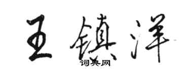 駱恆光王鎮洋行書個性簽名怎么寫