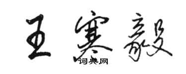 駱恆光王寒毅行書個性簽名怎么寫