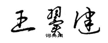 曾慶福王翼健草書個性簽名怎么寫