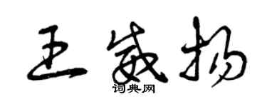 曾慶福王威揚草書個性簽名怎么寫