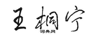 駱恆光王桐寧行書個性簽名怎么寫