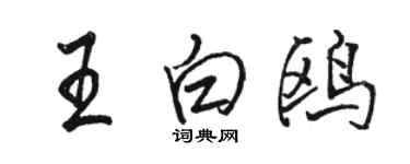 駱恆光王白鷗行書個性簽名怎么寫