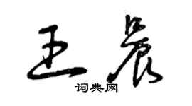 曾慶福王晨草書個性簽名怎么寫