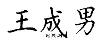 丁謙王成男楷書個性簽名怎么寫
