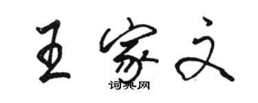 駱恆光王家文行書個性簽名怎么寫