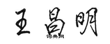 駱恆光王昌明行書個性簽名怎么寫