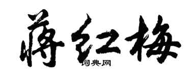 胡問遂蔣紅梅行書個性簽名怎么寫
