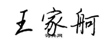 王正良王家舸行書個性簽名怎么寫
