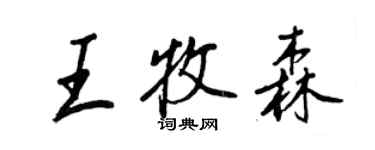 王正良王牧森行書個性簽名怎么寫