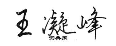 駱恆光王凝峰行書個性簽名怎么寫