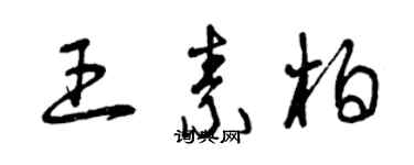 曾慶福王素柏草書個性簽名怎么寫