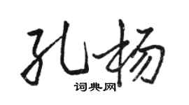 駱恆光孔楊行書個性簽名怎么寫