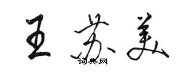 駱恆光王蘇美行書個性簽名怎么寫