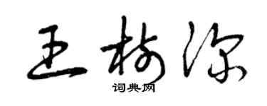 曾慶福王樹深草書個性簽名怎么寫