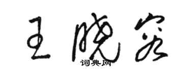 駱恆光王曉容草書個性簽名怎么寫