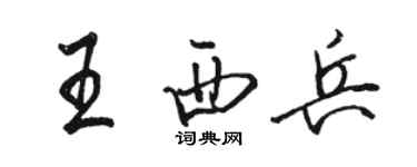 駱恆光王西兵行書個性簽名怎么寫