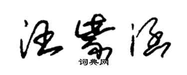 朱錫榮汪紫涵草書個性簽名怎么寫