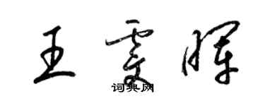 梁錦英王雯暉草書個性簽名怎么寫