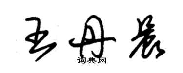 朱錫榮王丹晨草書個性簽名怎么寫