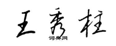 王正良王秀柱行書個性簽名怎么寫