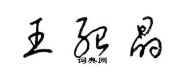 梁錦英王紹晶草書個性簽名怎么寫