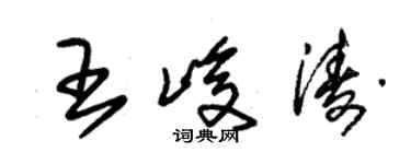 朱錫榮王峻濤草書個性簽名怎么寫