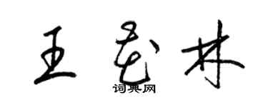 梁錦英王花林草書個性簽名怎么寫