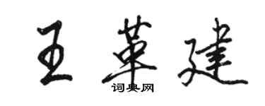 駱恆光王革建行書個性簽名怎么寫