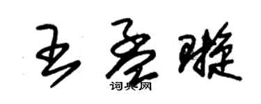 朱錫榮王孟璇草書個性簽名怎么寫