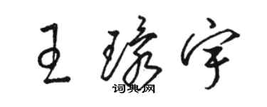 駱恆光王環宇草書個性簽名怎么寫