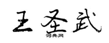 曾慶福王聖武行書個性簽名怎么寫