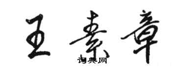 駱恆光王素章行書個性簽名怎么寫