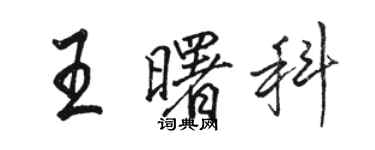 駱恆光王曙科行書個性簽名怎么寫