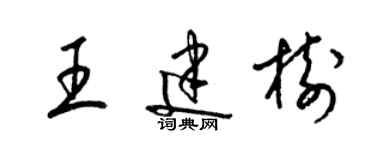 梁錦英王建樹草書個性簽名怎么寫