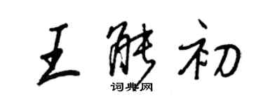 王正良王能初行書個性簽名怎么寫