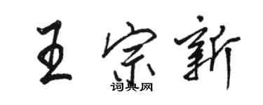 駱恆光王宗新行書個性簽名怎么寫