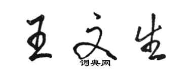 駱恆光王文生行書個性簽名怎么寫