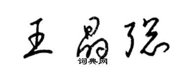 梁錦英王晶聰草書個性簽名怎么寫