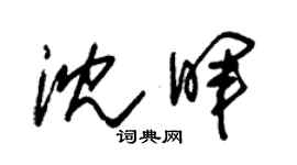 朱錫榮沈暉草書個性簽名怎么寫