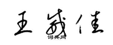 梁錦英王威佳草書個性簽名怎么寫