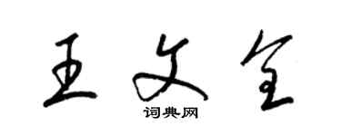 梁錦英王文全草書個性簽名怎么寫