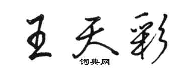 駱恆光王天彩行書個性簽名怎么寫