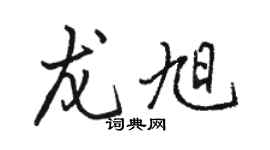 駱恆光龍旭行書個性簽名怎么寫