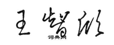 駱恆光王智欣草書個性簽名怎么寫