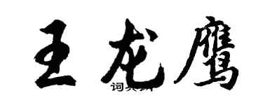 胡問遂王龍鷹行書個性簽名怎么寫
