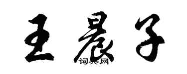 胡問遂王晨子行書個性簽名怎么寫